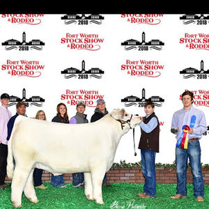 Meet your Posher, Bryson